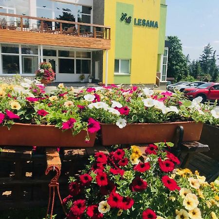Hotel Lesana Stará Lesná エクステリア 写真