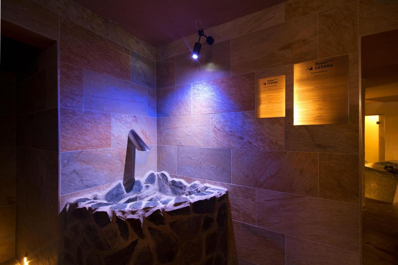Hotel Lesana Stará Lesná エクステリア 写真